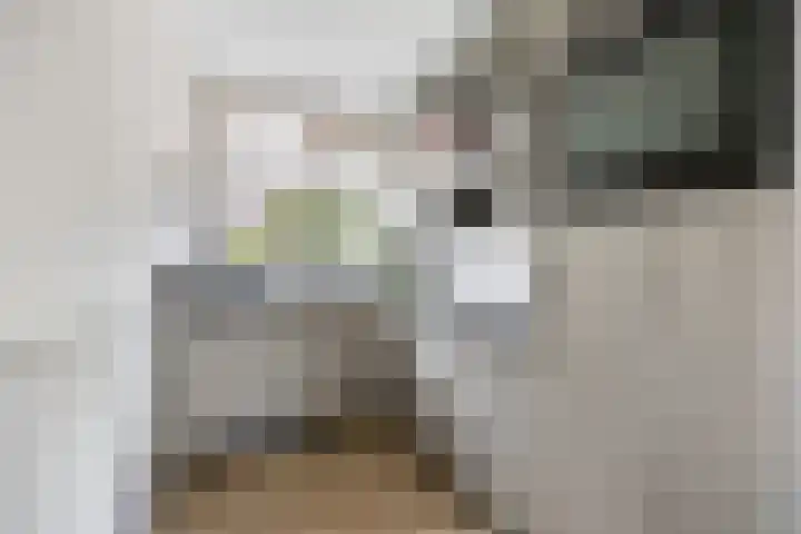 Saltshof 2044 Wijchen thumbnail 10