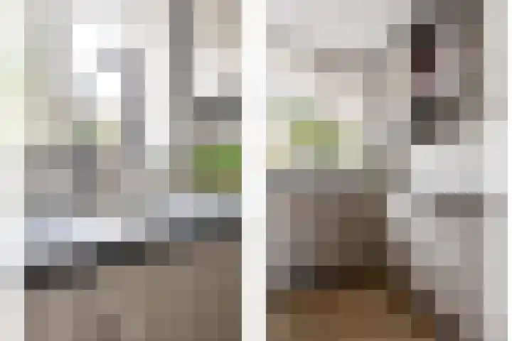 Saltshof 2044 Wijchen thumbnail 11