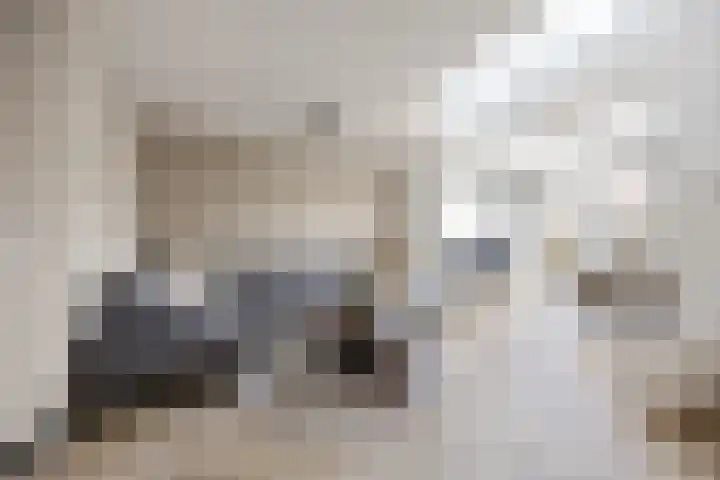 Saltshof 2044 Wijchen thumbnail 13