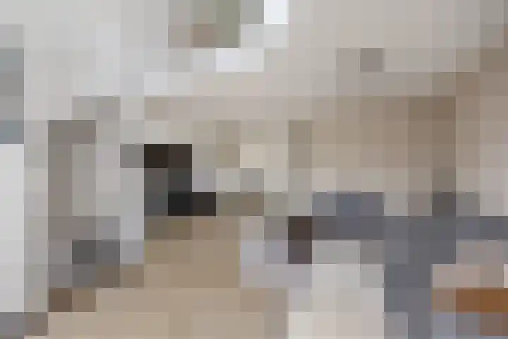Saltshof 2044 Wijchen thumbnail 15