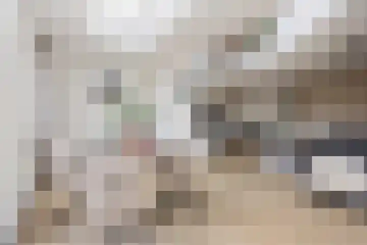 Saltshof 2044 Wijchen thumbnail 16