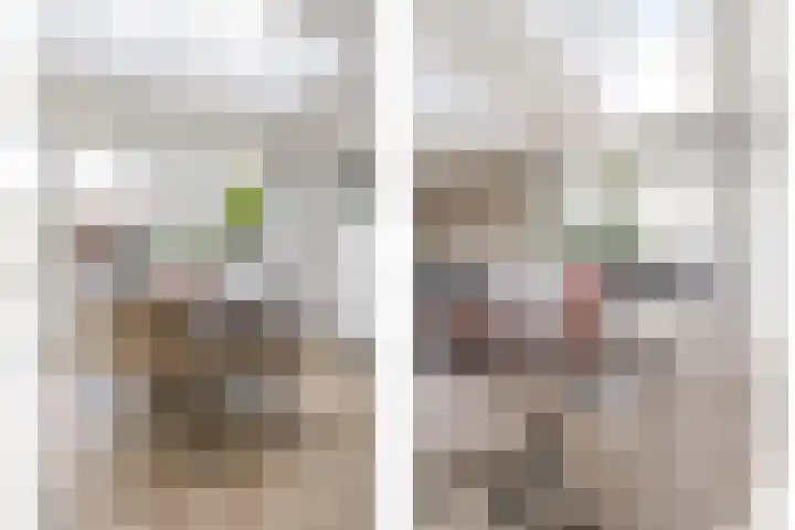 Saltshof 2044 Wijchen thumbnail 18