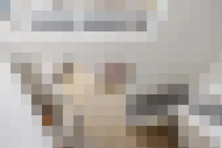 Saltshof 2044 Wijchen thumbnail 21