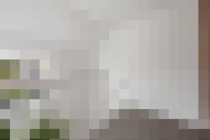 Saltshof 2044 Wijchen thumbnail 23