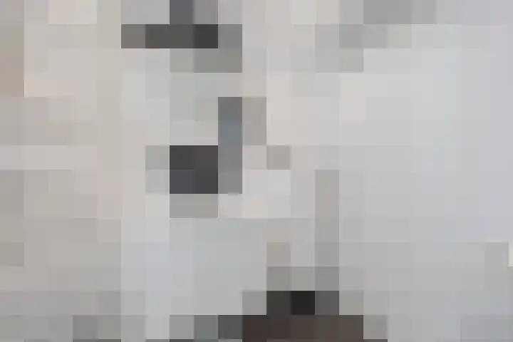 Saltshof 2044 Wijchen thumbnail 28