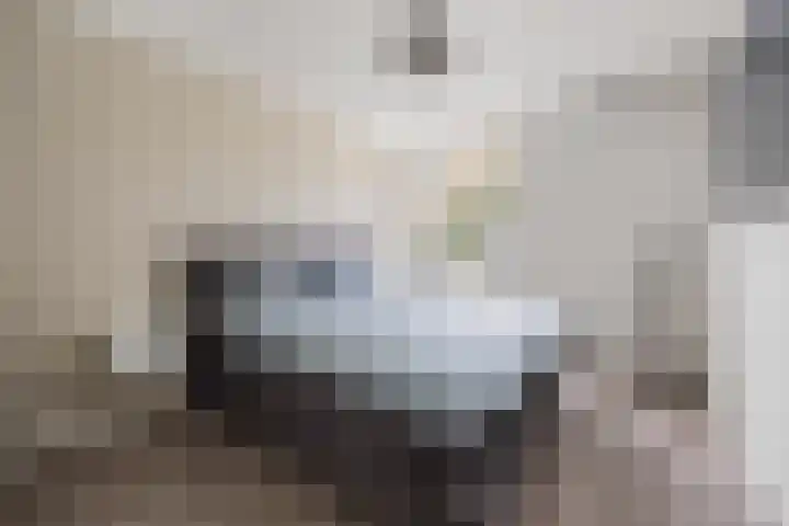 Saltshof 2044 Wijchen thumbnail 31