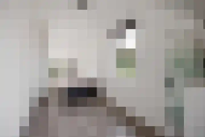 Saltshof 2044 Wijchen thumbnail 33
