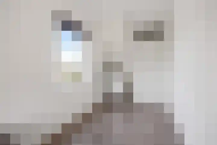 Saltshof 2044 Wijchen thumbnail 34