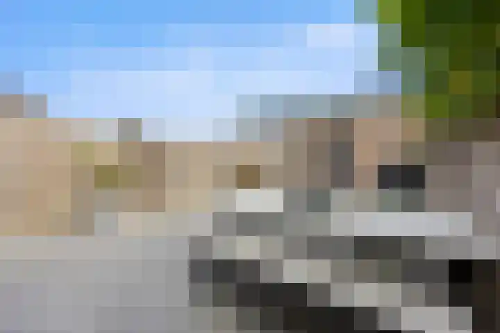 Saltshof 2044 Wijchen thumbnail 39