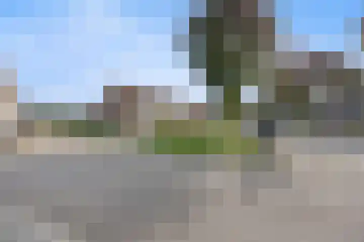 Saltshof 2044 Wijchen thumbnail 50