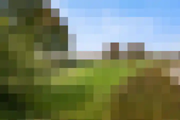 Saltshof 2044 Wijchen thumbnail 51