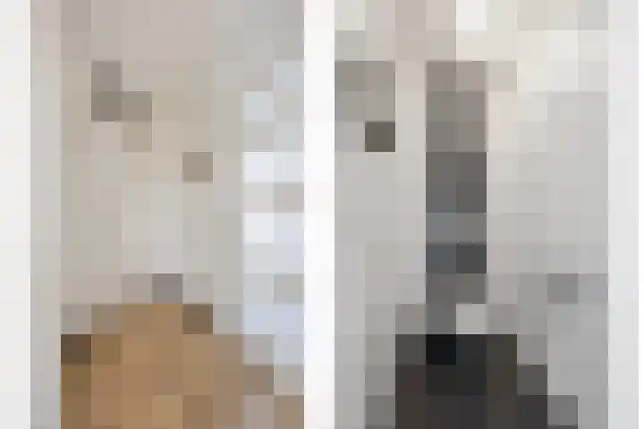 Saltshof 2044 Wijchen thumbnail 7