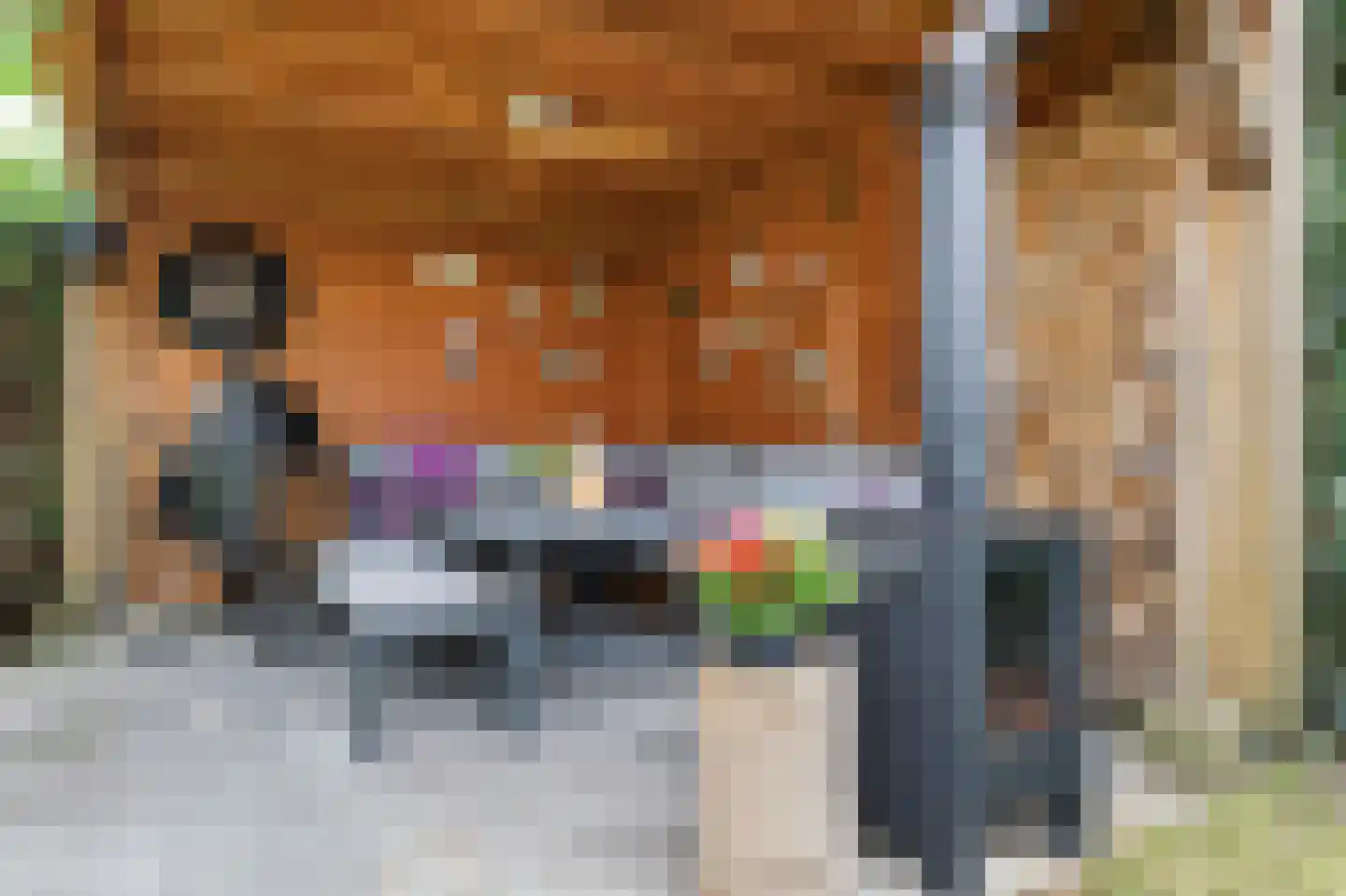 Saltshof 2203 Wijchen thumbnail 17