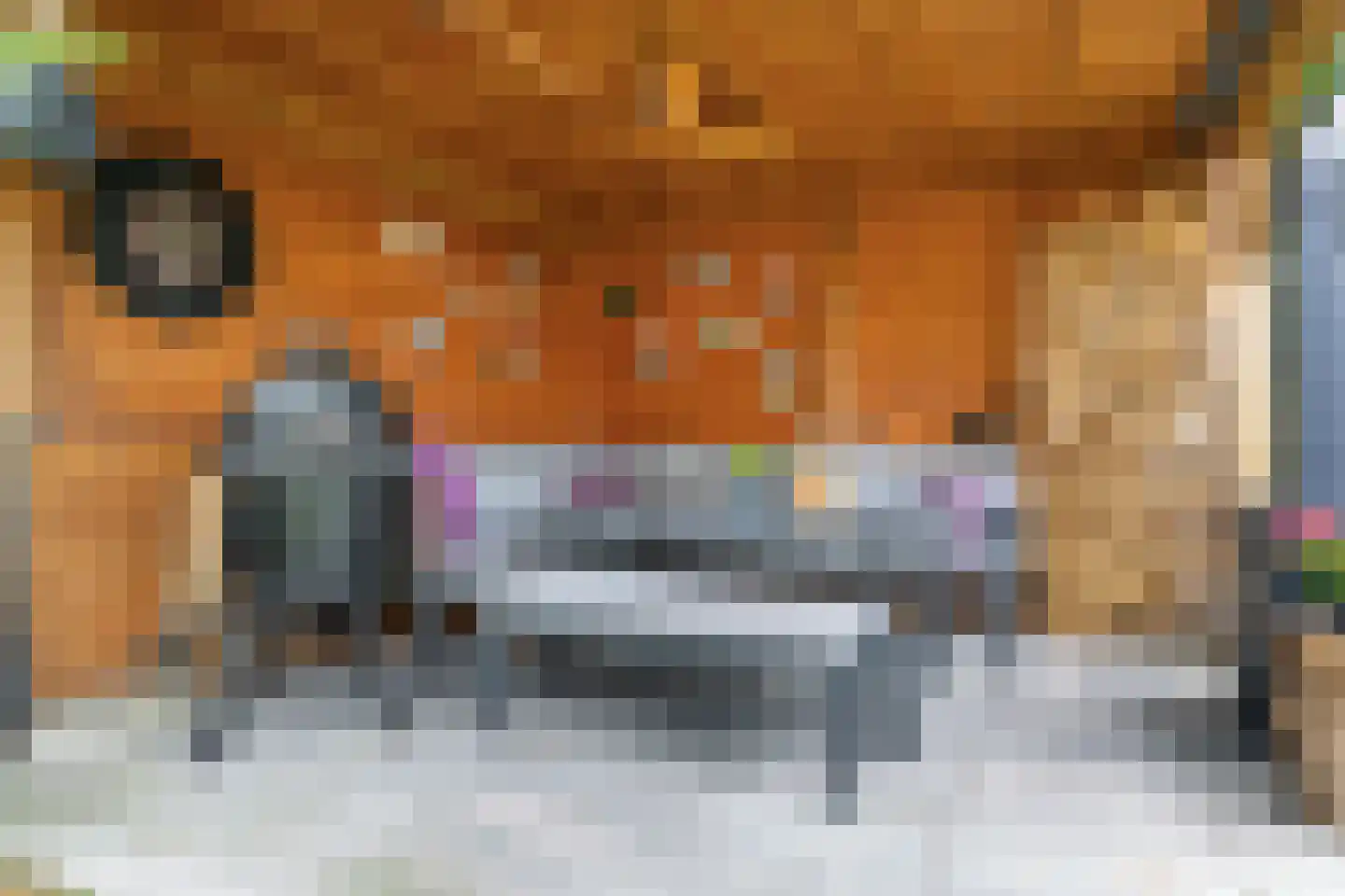 Saltshof 2203 Wijchen thumbnail 18