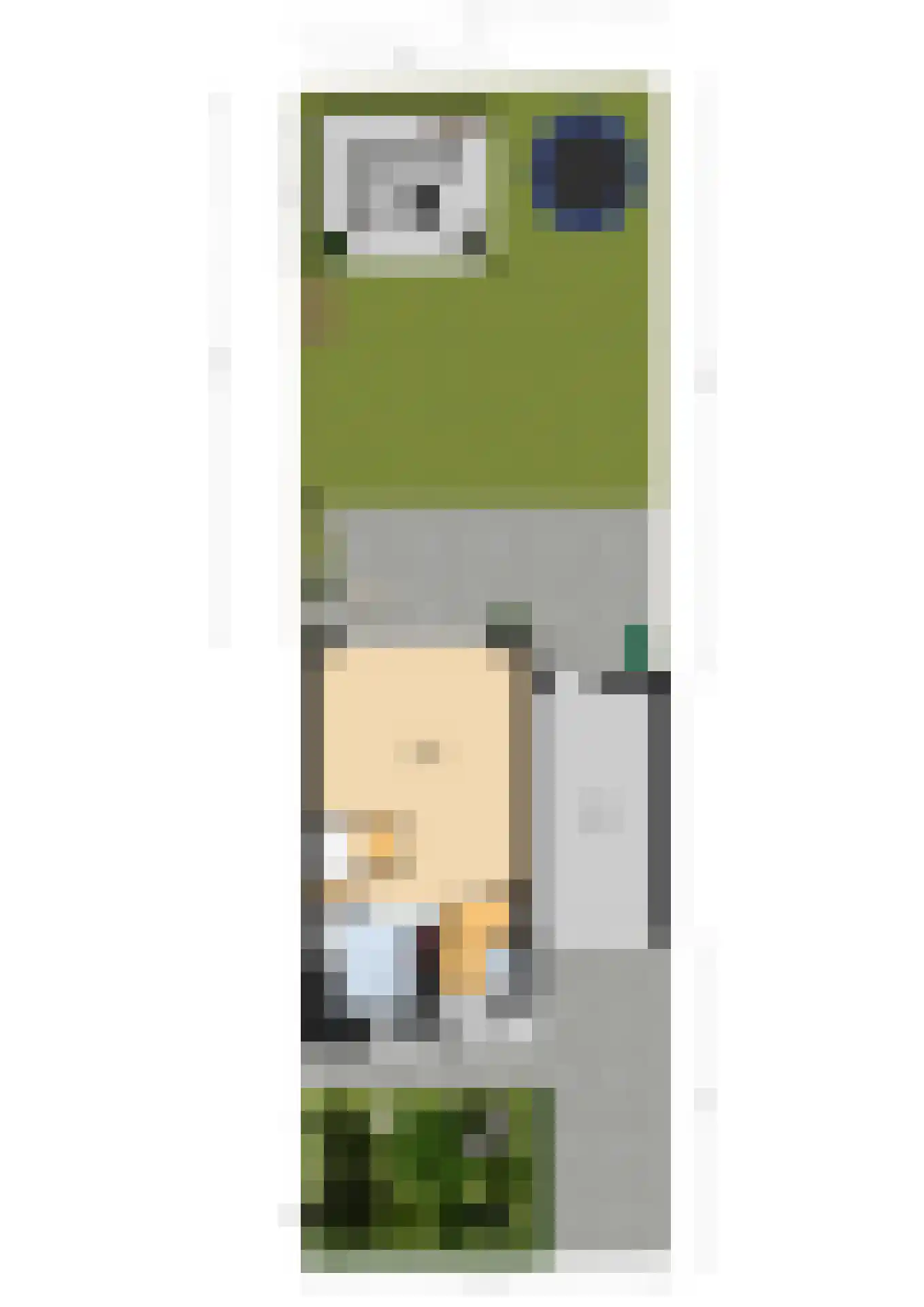 Saltshof 2203 Wijchen thumbnail 47