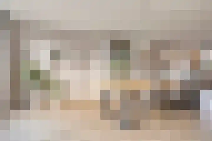 Saltshof 2409 Wijchen thumbnail 10