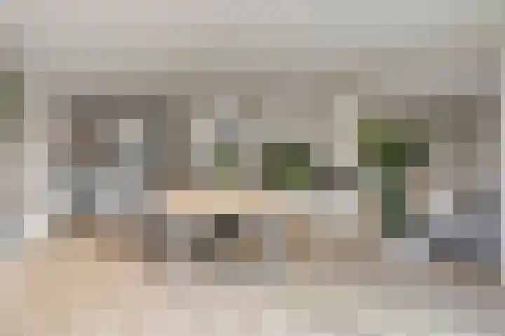 Saltshof 2409 Wijchen thumbnail 11