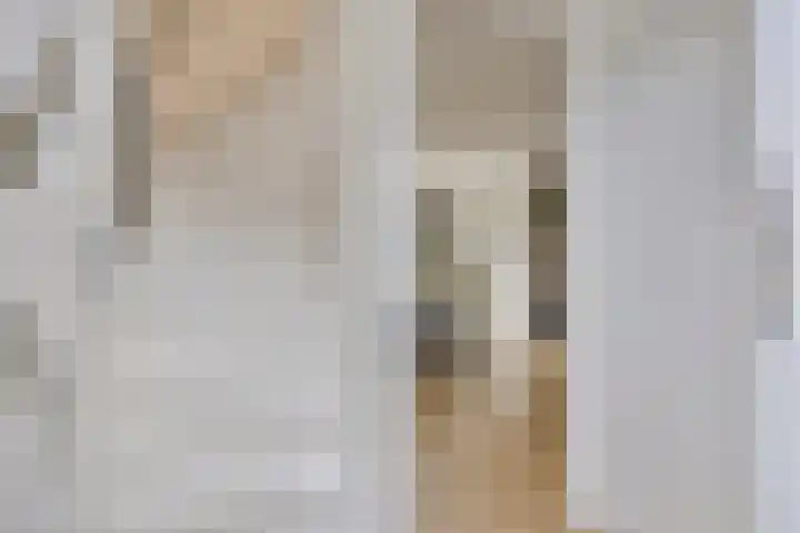 Saltshof 2409 Wijchen thumbnail 18