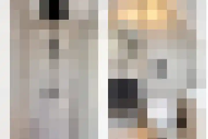 Saltshof 2409 Wijchen thumbnail 22