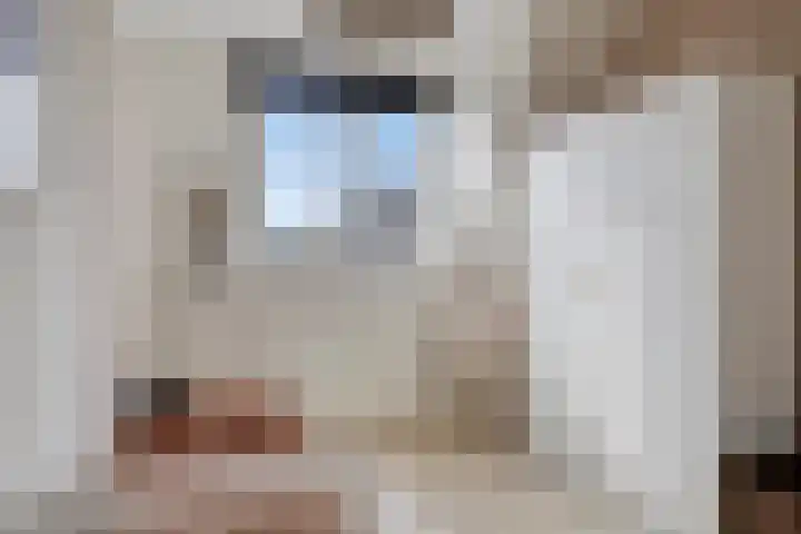 Saltshof 2409 Wijchen thumbnail 25