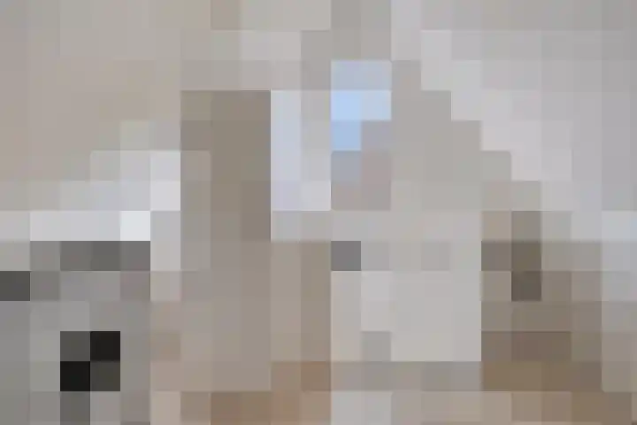Saltshof 2409 Wijchen thumbnail 28