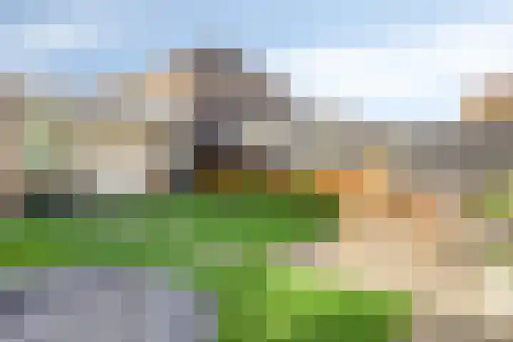 Saltshof 2409 Wijchen thumbnail 32