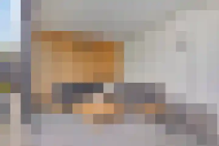Saltshof 2409 Wijchen thumbnail 33