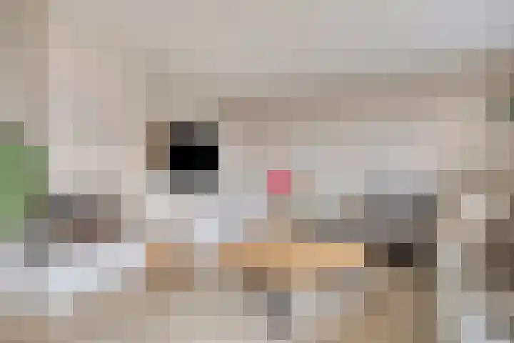 Saltshof 2409 Wijchen thumbnail 4
