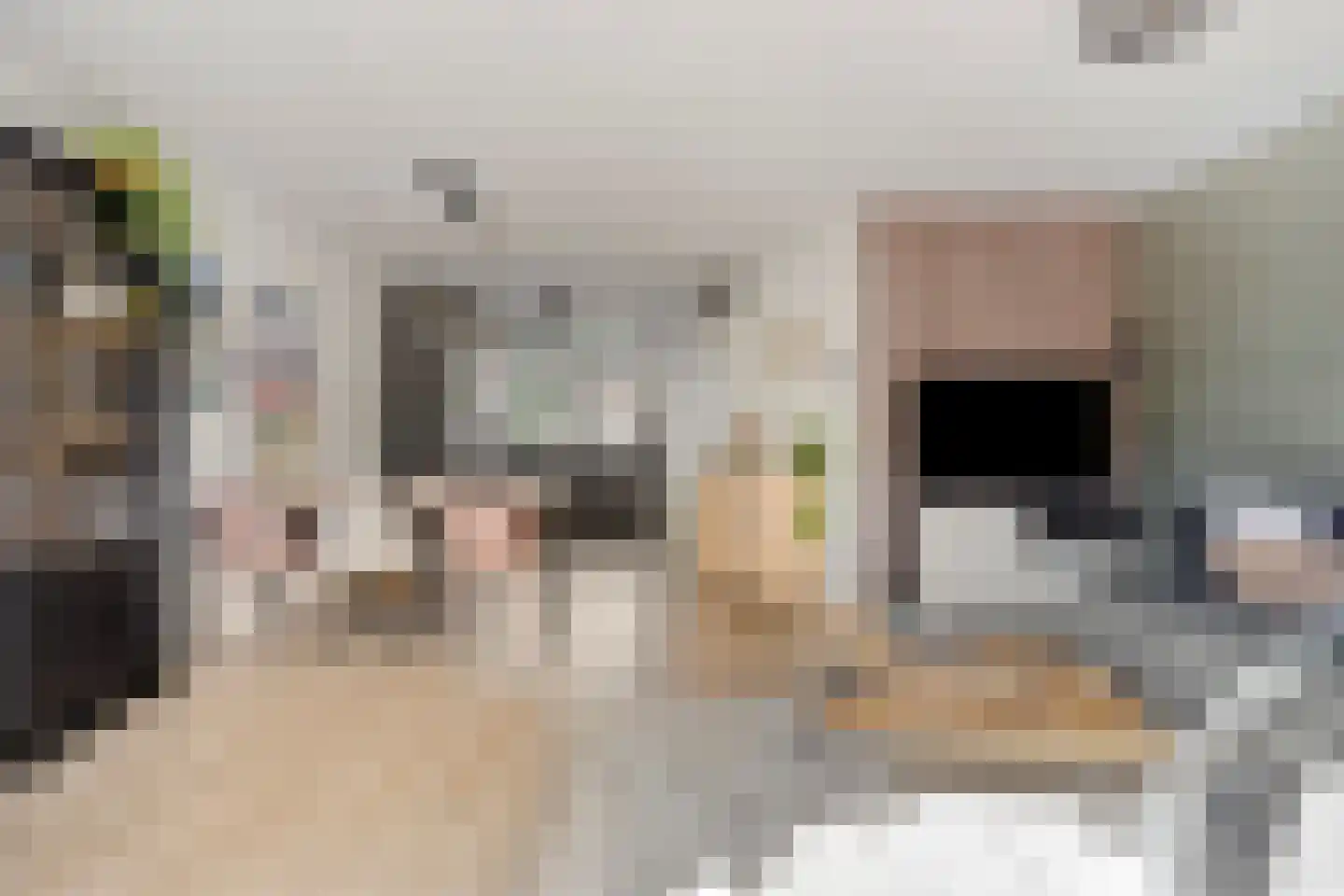 Saltshof 2416 Wijchen thumbnail 10