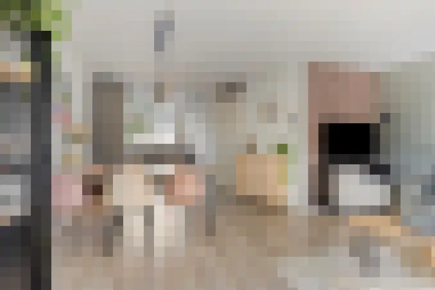 Saltshof 2416 Wijchen thumbnail 11