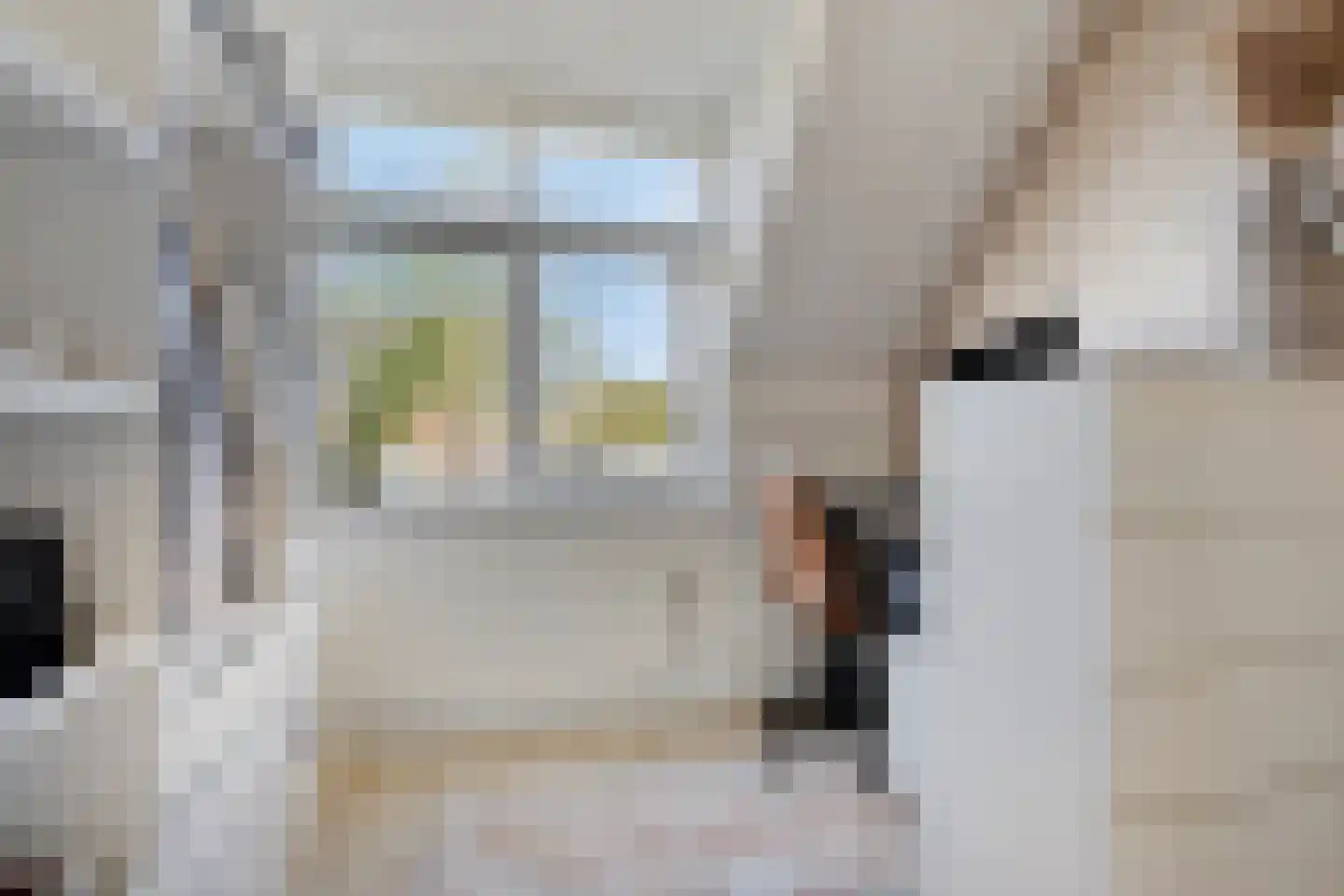 Saltshof 2416 Wijchen thumbnail 22
