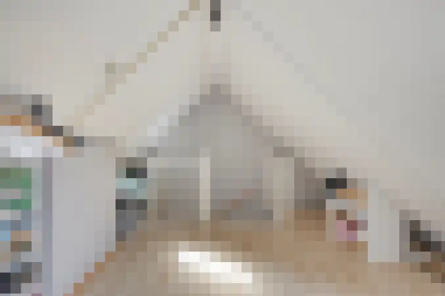 Saltshof 2416 Wijchen thumbnail 24