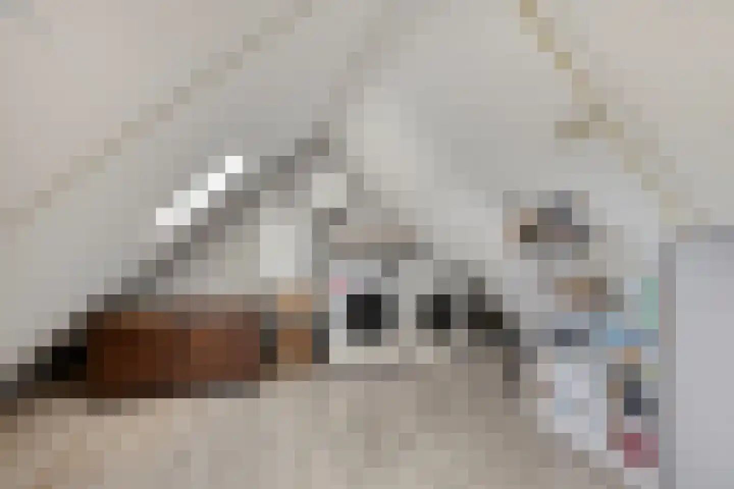 Saltshof 2416 Wijchen thumbnail 25