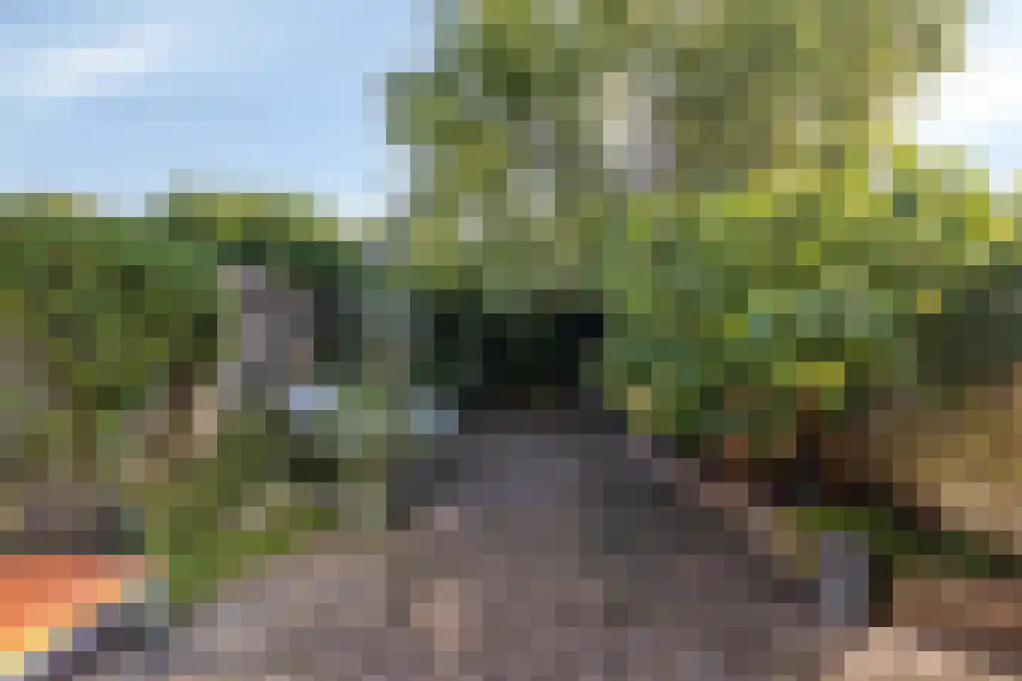 Saltshof 2416 Wijchen thumbnail 26
