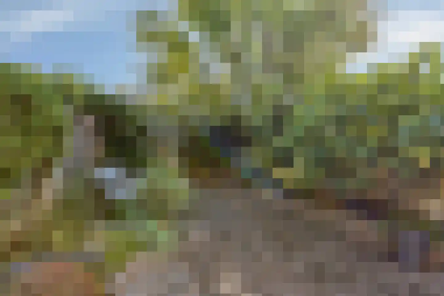 Saltshof 2416 Wijchen thumbnail 27