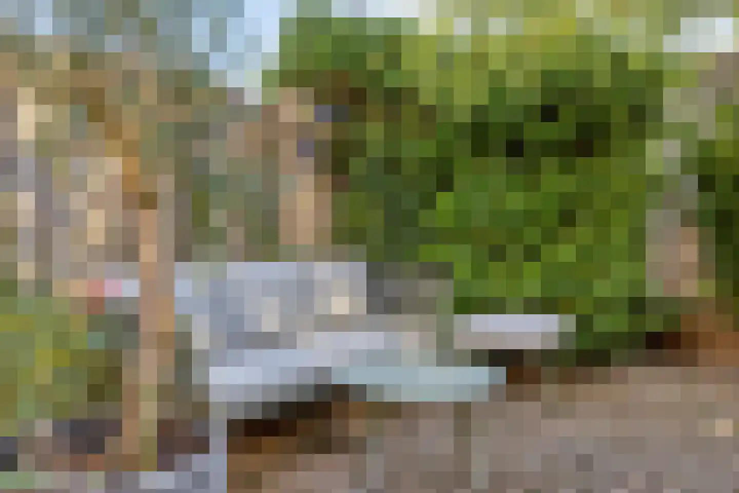 Saltshof 2416 Wijchen thumbnail 28