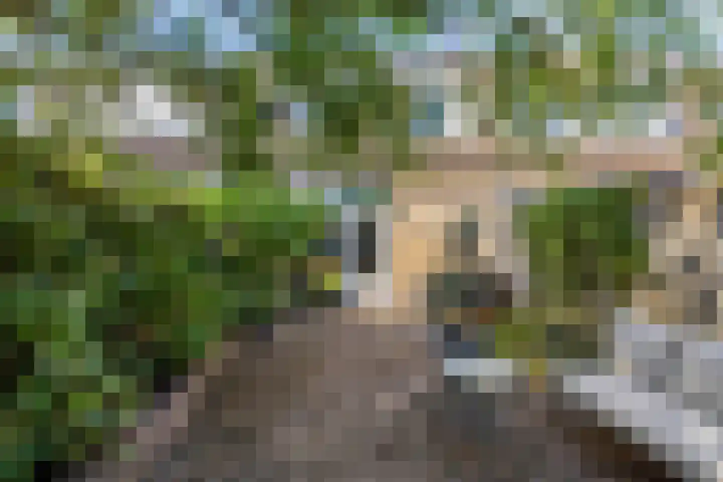 Saltshof 2416 Wijchen thumbnail 29
