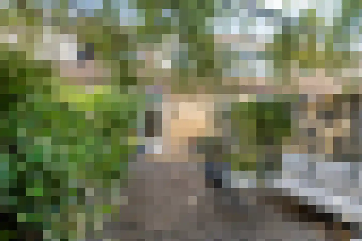 Saltshof 2416 Wijchen thumbnail 30
