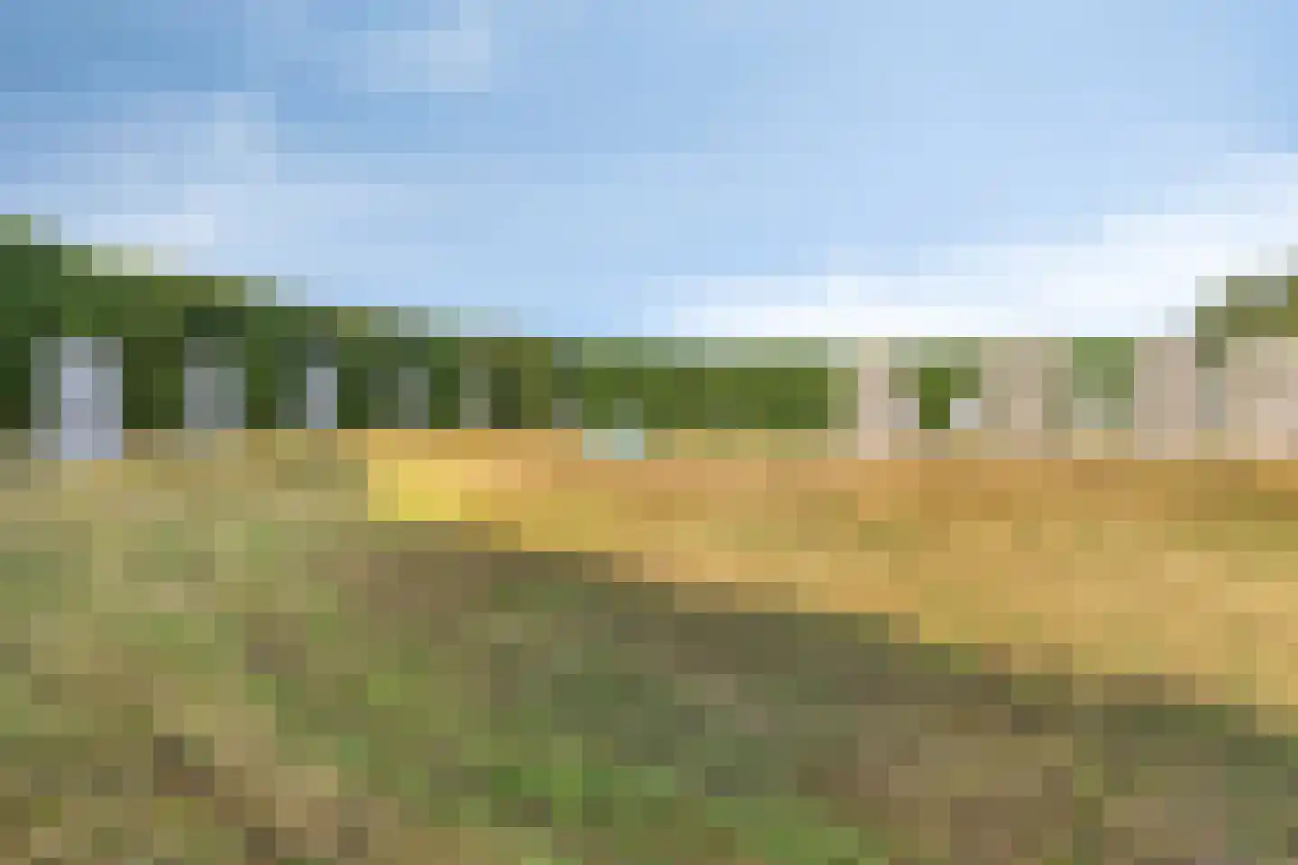 Saltshof 2416 Wijchen thumbnail 31