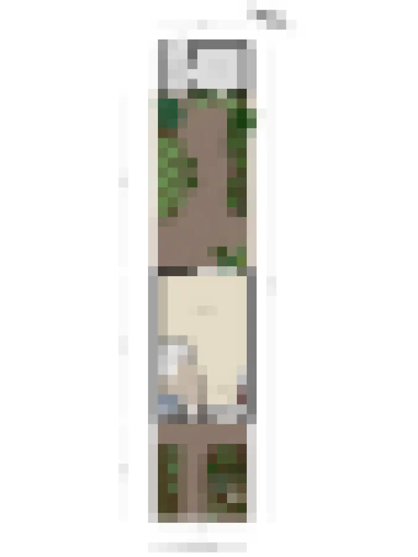 Saltshof 2416 Wijchen thumbnail 34