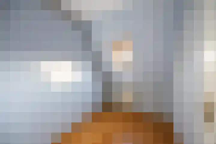 Saltshof 2713 Wijchen thumbnail 23