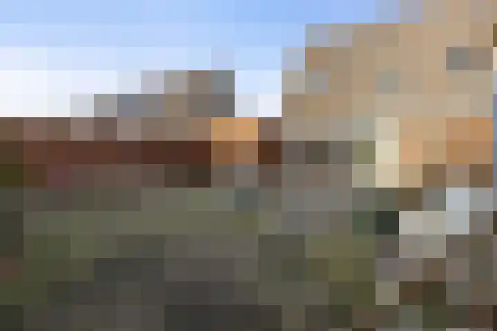 Saltshof 2713 Wijchen thumbnail 31
