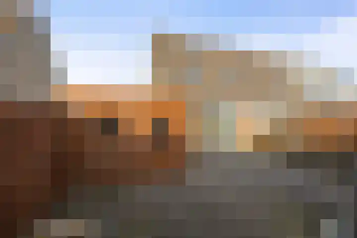 Saltshof 2713 Wijchen thumbnail 32