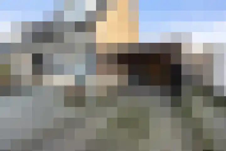 Saltshof 2713 Wijchen thumbnail 36