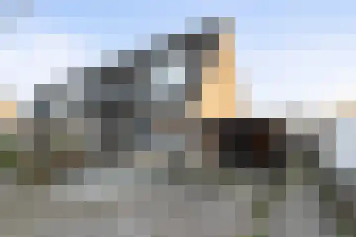 Saltshof 2713 Wijchen thumbnail 37