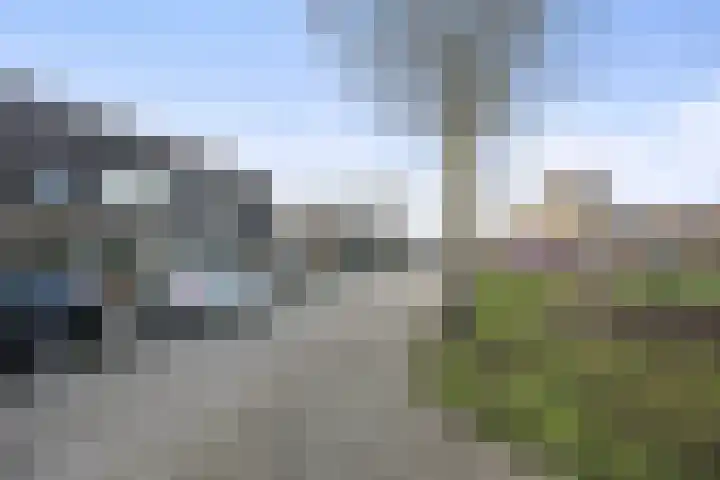 Saltshof 2713 Wijchen thumbnail 39