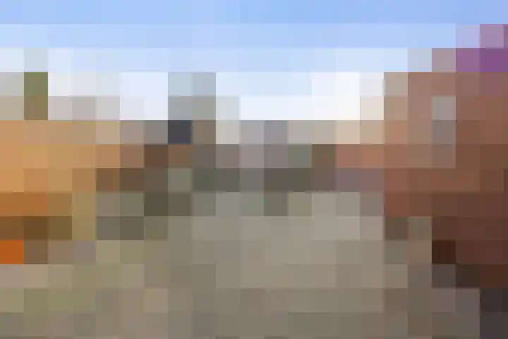Saltshof 2713 Wijchen thumbnail 4