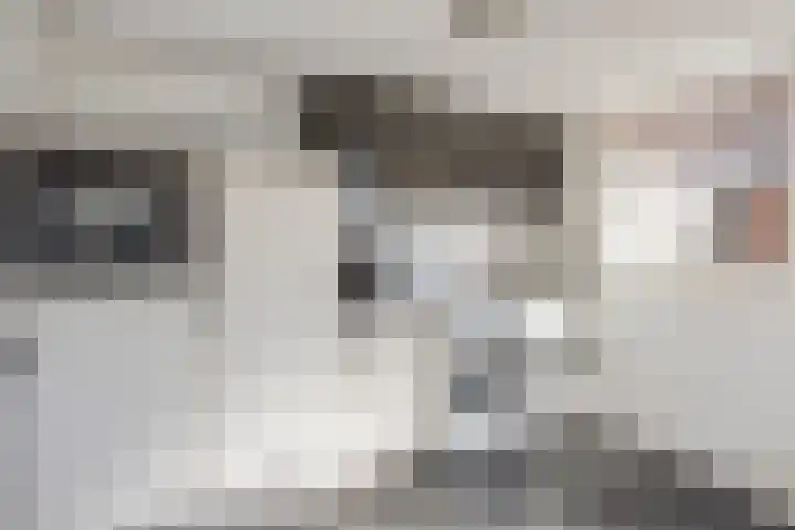 Saltshof 2808 Wijchen thumbnail 14