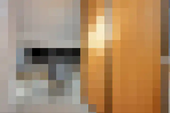Saltshof 2808 Wijchen thumbnail 25