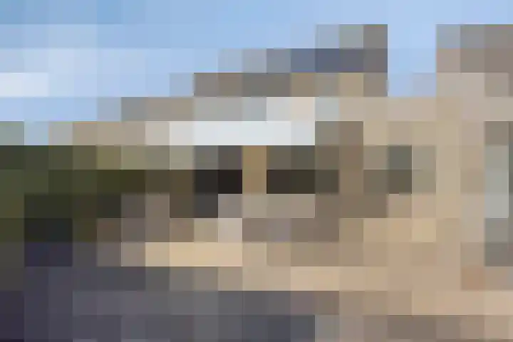 Saltshof 2808 Wijchen thumbnail 31
